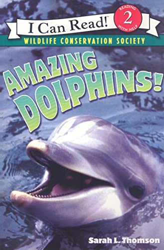 Amazing Dolphins! - Click to Buy