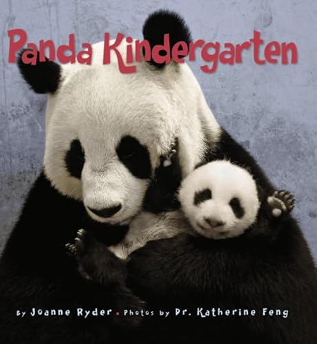 Panda Kindergarten - Click to Buy