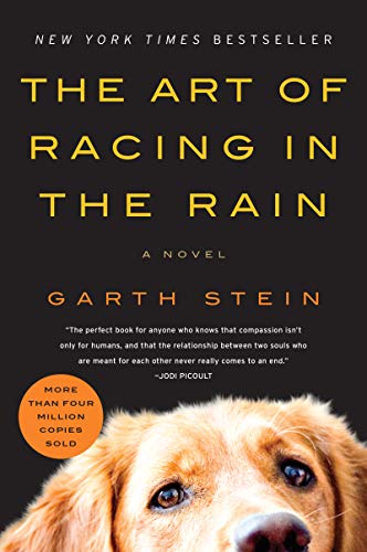 The Art of Racing in the Rain - Click to Buy