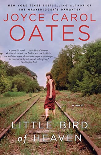 Little Bird Of Heaven: A Novel - Click to Buy