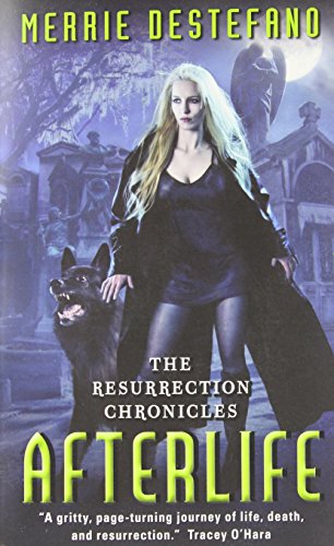 Afterlife: The Resurrection Chronicles - Click to Buy