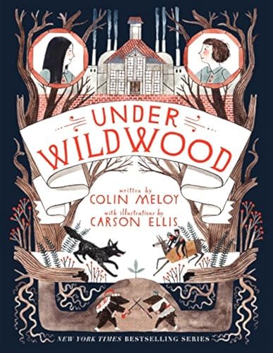 Under Wildwood - Click to Buy