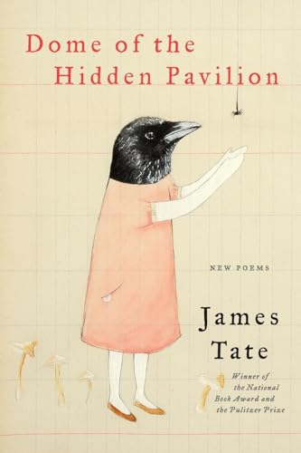 Dome of the Hidden Pavilion: New Poems - Click to Buy