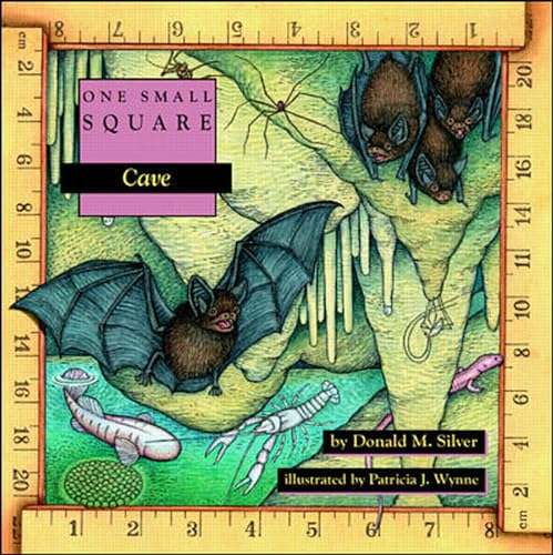 Cave - Click to Buy