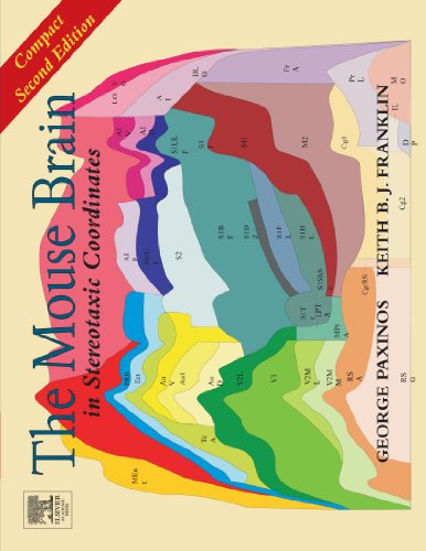 The Mouse Brain in Stereotaxic Coordinates: Compact Second Edition