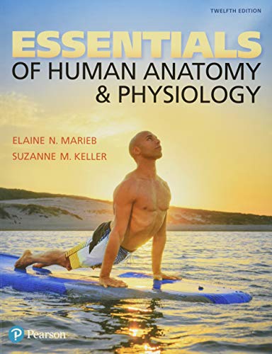 Essentials of Human Anatomy & Physiology - Click to Buy