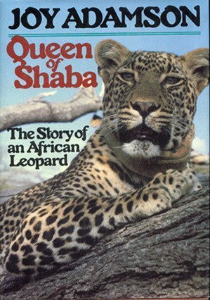 Queen of Shaba : The Story of an African Leopard - Click to Buy