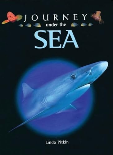 Journey Under the Sea - Click to Buy