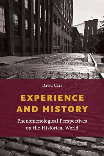 Experience and History: Phenomenological Perspectives on the Historical World - Click to Buy