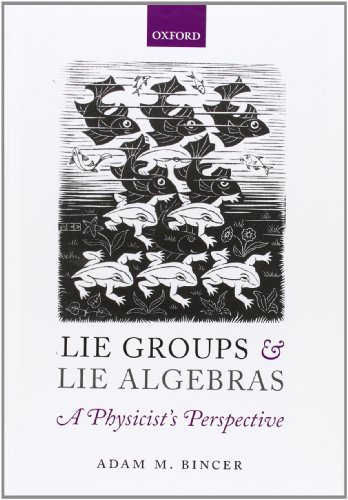Lie Groups and Lie Algebras - A Physicist's Perspective - Click to Buy