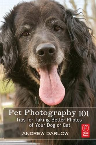 Pet Photography 101: Tips for Taking Better Photos of Your Dog or Cat: Tips for taking better photos of your cat or dog