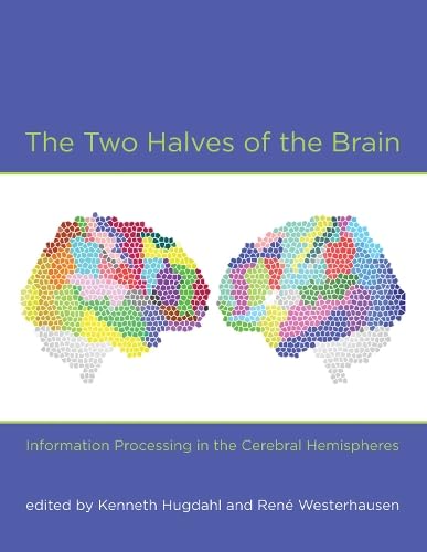 The Two Halves of the Brain: Information Processing in the Cerebral Hemispheres - Click to Buy