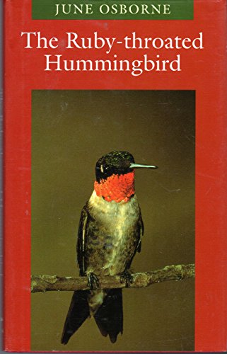 The Ruby-throated Hummingbird - Click to Buy