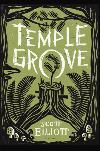 Temple Grove: A Novel - Click to Buy