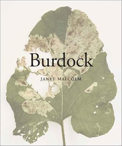 Burdock - Click to Buy