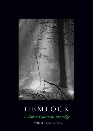 Hemlock: A Forest Giant on the Edge - Click to Buy
