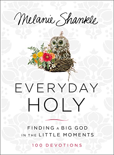 Everyday Holy: Finding a Big God in the Little Moments - Click to Buy