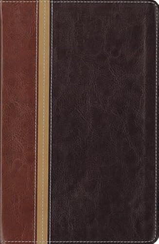 New International Version/ The Message Parallel Study Bible: New International Version, Dark Caramel/Black Italian Duo-tone, Personal Size - Click to Buy