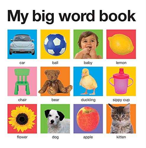 My Big Word Book (casebound) (My Big Board Books) - Click to Buy
