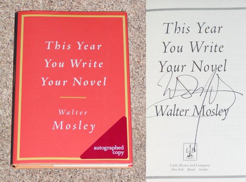 This Year You Write Your Novel - Click to Buy