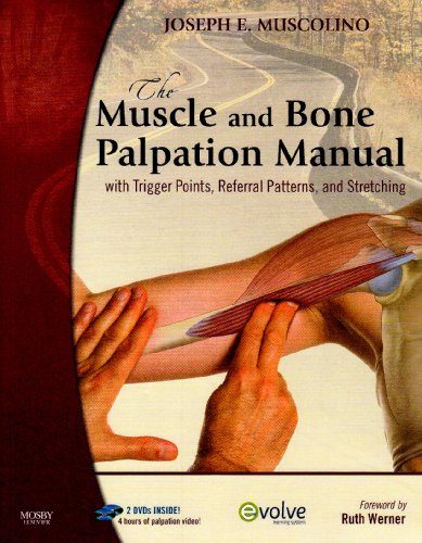 The Muscle and Bone Palpation Manual with Trigger Points, Referral Patterns and Stretching - Text and Flashcards Package - Click to Buy