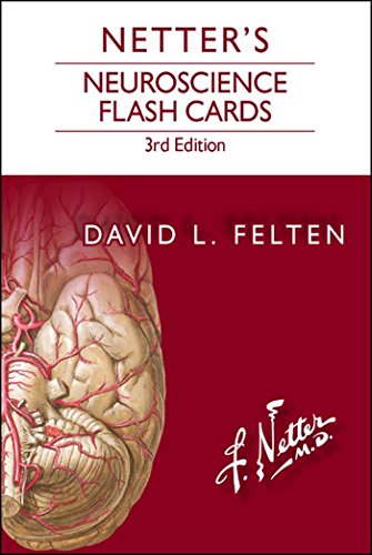 Netter's Neuroscience Flash Cards - Click to Buy