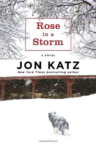 Rose in a Storm - Click to Buy