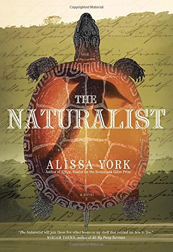 The Naturalist - Click to Buy