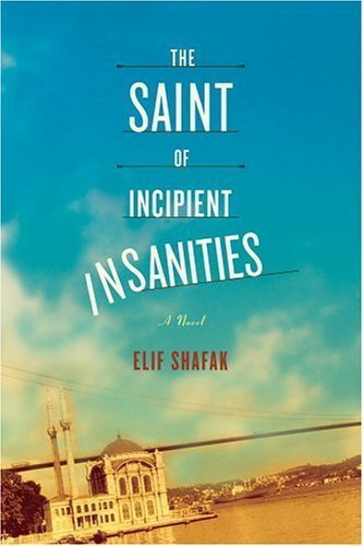 The Saint of Incipient Insanities: A Novel - Click to Buy