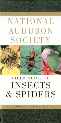 National Audubon Society Field Guide to Insects and Spiders: North America (National Audubon Society Field Guides) - Click to Buy