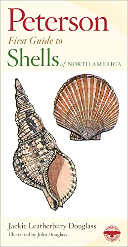 Peterson First Guide to Shells of North America - Click to Buy