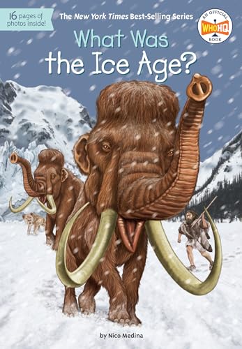 What Was the Ice Age? - Click to Buy