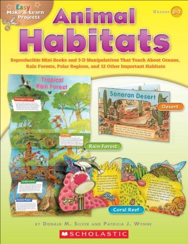 Easy Make and Learn Projects - Click to Buy