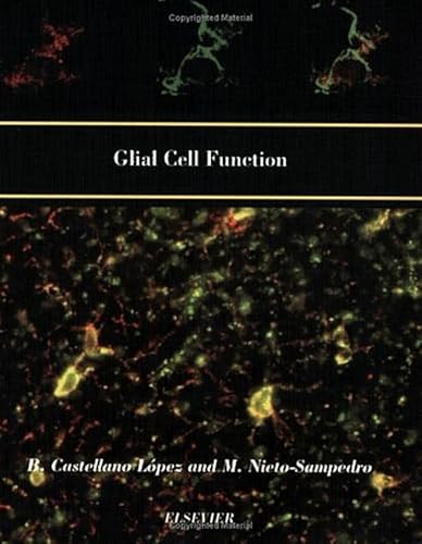 Glial Cell Function (Paperback) (Progress in Brain Research)