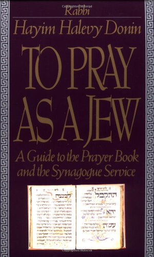 TO PRAY AS A JEW - Click to Buy