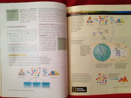 Visualizing Nutrition: Everyday Choices - Click to Buy