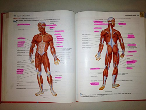 Introduction to the Human Body: The Essentials of Anatomy and Physiology