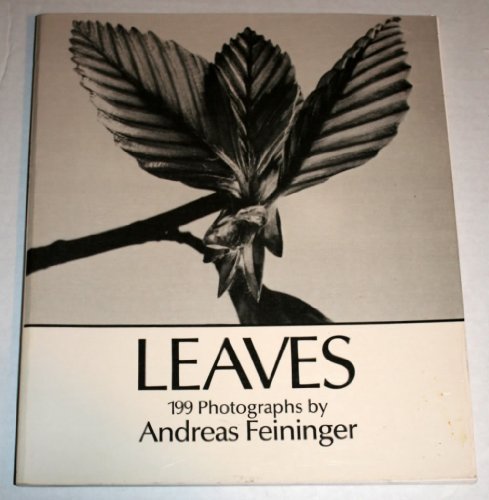 Leaves: 199 Photographs - Click to Buy