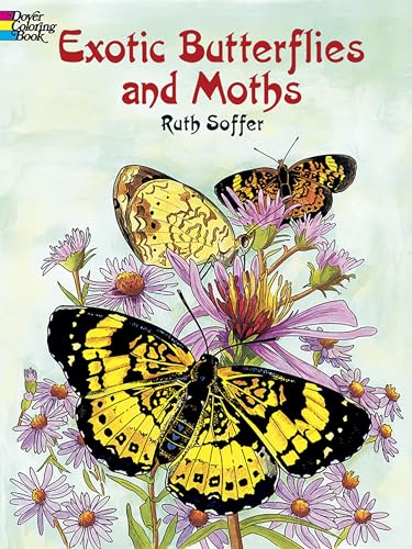 Exotic Butterflies and Moths CB - Click to Buy