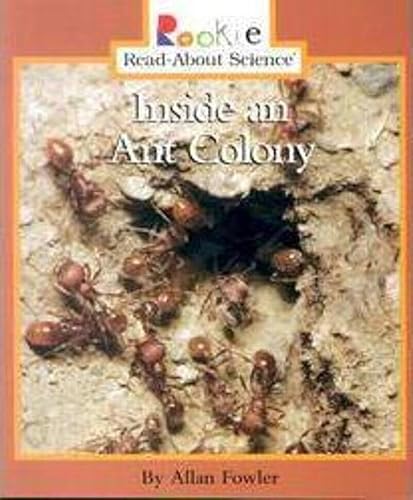 Inside an Ant Colony (Rookie Read-About Science) - Click to Buy