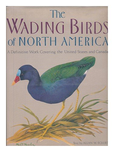 Wading Birds Of North America - Click to Buy