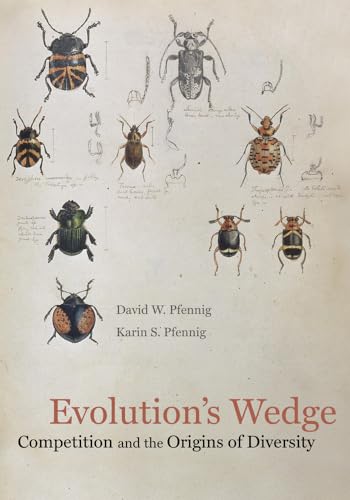 Evolution's Wedge: Competition and the Origins of Diversity (Volume 12) (Organisms and Environments)