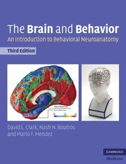 The Brain and Behavior: An Introduction to Behavioral Neuroanatomy - Click to Buy
