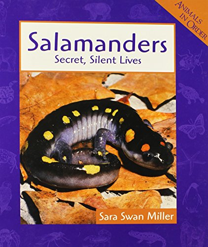 Salamanders: Secret, Silent Lives (Animals in Order) - Click to Buy