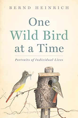 One Wild Bird At A Time: Portraits of Individual Lives - Click to Buy
