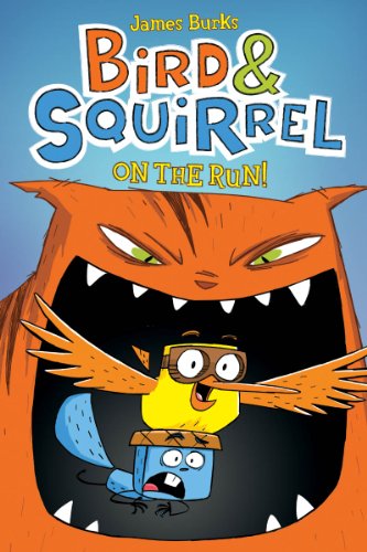 Bird & Squirrel On the Run!: A Graphic Novel (Bird & Squirrel #1) - Click to Buy