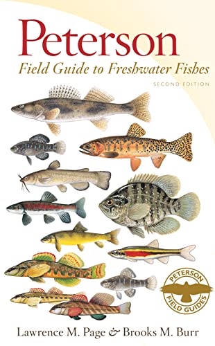 Peterson Field Guide To Freshwater Fishes, Second Edition - Click to Buy