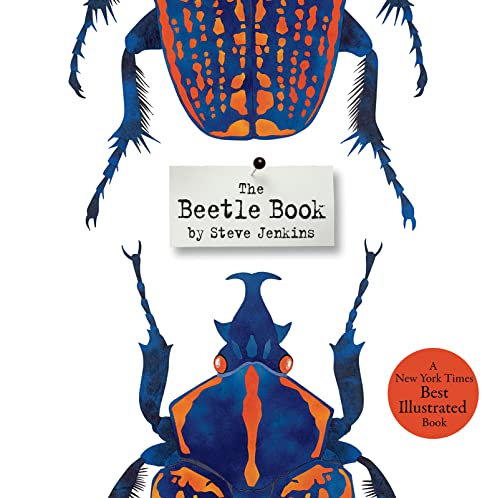 The Beetle Book - Click to Buy