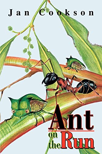 Ant on the Run - Click to Buy