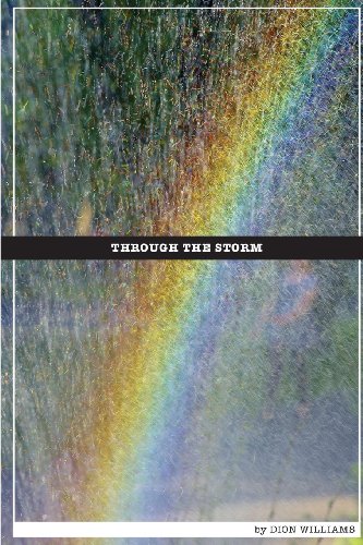 Through The Storm - Click to Buy